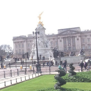 Meet your Posher, Hudson